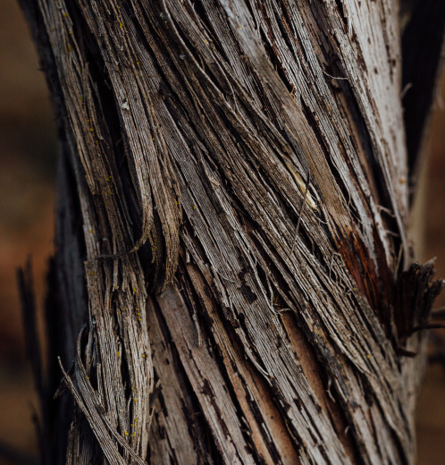 Futo Wines - We believe the pinnacle of wine quality comes from hand farming hillside vineyards.